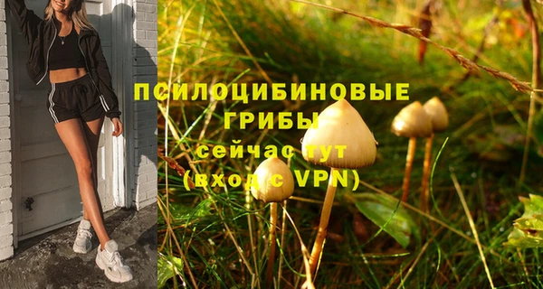 тгк Пересвет