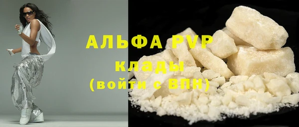 тгк Пересвет