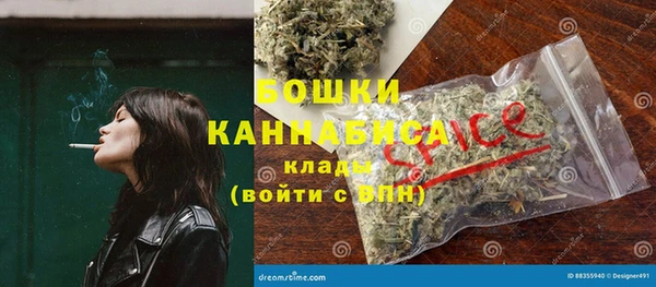 тгк Пересвет