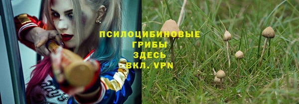 метадон Пестово