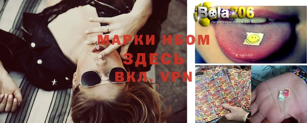 тгк Пересвет