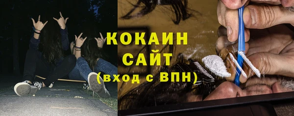 тгк Пересвет