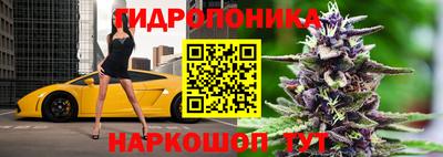 дмт Пугачёв
