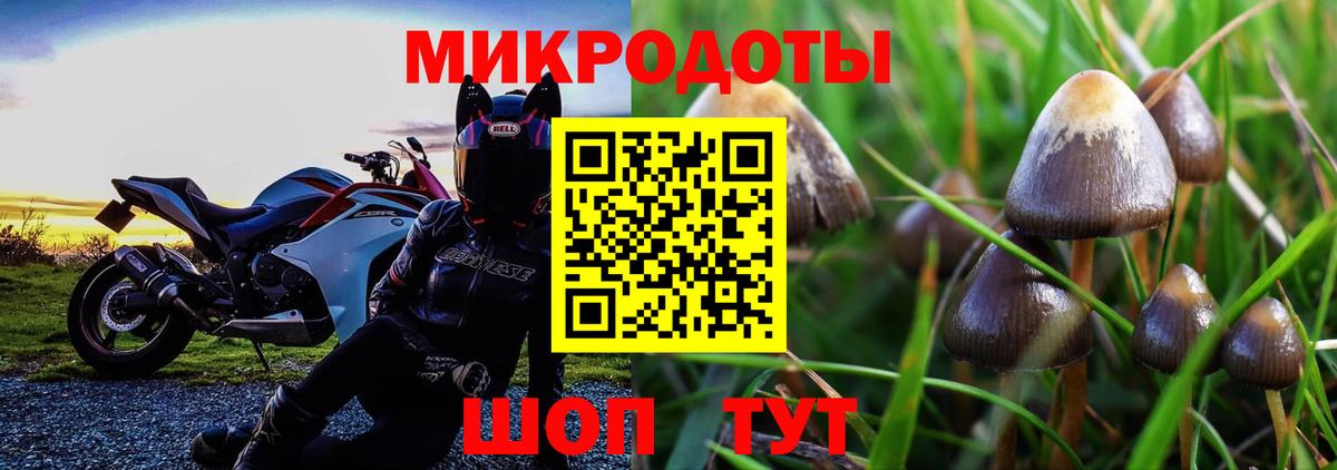 Псилоцибиновые грибы мицелий Славгород