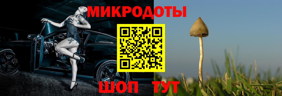 купить закладку  Галлюциногенные грибы Magic Shrooms  Вход с VPN  Славгород  Псилоцибиновые грибы Cubensis 